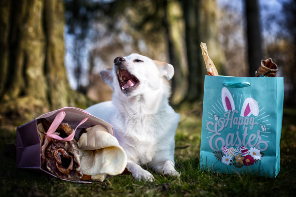 Ostertüte
