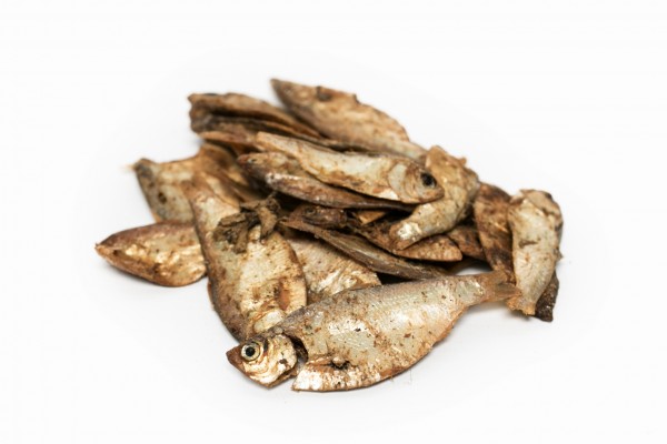 Fisch