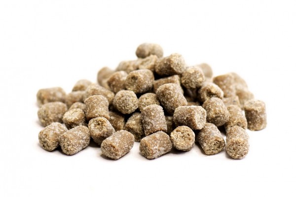 Trainees Mini Wild plus Kartoffeln Getreidefrei